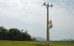 EVN HANOI  hiện đại hóa lưới điện nông thôn