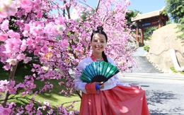 Tưng bừng "Lễ hội giao lưu văn hóa Việt – Hàn" kéo dài một tháng ở Đà Nẵng
