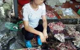 Tuyên án vụ 2 phụ nữ tạt dầu luyn vào quầy thịt lợn ở Hải Phòng