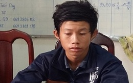 Dụ bé gái 4 tuổi vào buồng cho mượn điện thoại rồi hiếp dâm