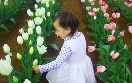 Đã mắt với khu nhà vườn hơn 500m2 ngập tràn rau xanh và sắc hoa của mẹ Việt ở Úc