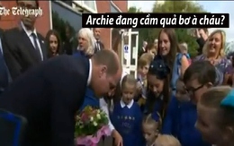 Hoàng tử William được bé trai 4 tuổi tặng quả bơ chữa nghén cho vợ