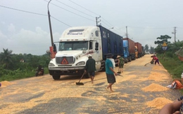 Quảng Ninh: Người dân tranh nhau "hôi" ngô rơi của tài xế container