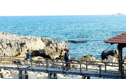 Du khách rơi xuống biển khi chụp hình ở Ninh Thuận