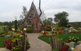 Ngôi nhà gỗ đẹp diệu kỳ như truyện cổ tích khiến người xem ngỡ ngàng