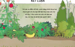 Vườn nâng: giải pháp hoàn hảo giúp hiện thực hóa khu vườn trong mơ của bạn