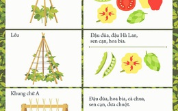 Vườn đứng: Giải pháp hoàn hảo cho căn nhà nhỏ