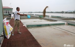 Thành tỷ phú nhờ nuôi loại cá... lắm thị phi