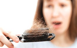 Tóc rụng gần hói cũng sẽ mọc lại đen đầu chỉ nhờ vào 1 trái này