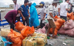 Không ai hôi của khi 20 tấn hoa quả tràn ra đường sau vụ tai nạn