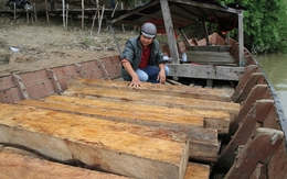 Kiểm lâm bắn chết người buôn lậu gỗ được miễn hình phạt
