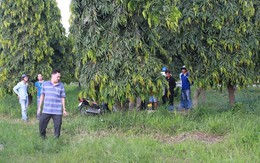 Kinh hãi phát hiện người phụ nữ nằm chết bên vệ đường