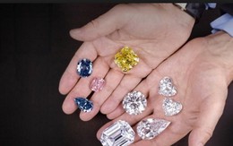 Bà lão giúp việc trộm nhẫn cưới kim cương của gia chủ