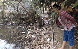 Lời khai nghi phạm đâm chết nam giáo viên tiểu học ở trường
