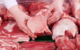 Mối nguy hiểm con người phải đối mặt khi ăn phải lợn 'lực sĩ' do biến đổi gene