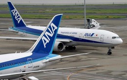 Máy bay chở hơn 226 người phải quay đầu vì lấy nhầm khách