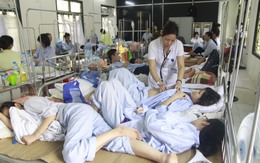 Bệnh viện Tuệ Tĩnh mở rộng khu tiếp nhận và điều trị bệnh nhân sốt xuất huyết