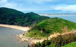 Một phụ nữ lên núi hái chè, mắc kẹt dưới vực sâu suốt đêm