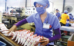 Vua mì tôm Miliket: Sống khỏe và báo lãi chục tỷ nhờ 2 con tôm