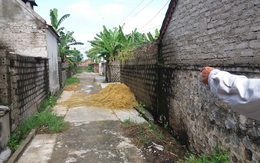 Nghi án giết con trai 2 tuổi rồi uống thuốc sâu tự tử: Người mẹ đã tử vong
