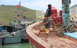 Tàu chìm giữa biển, 10 ngư dân may mắn trở về từ cõi chết