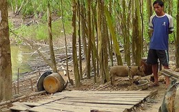 Người chồng nghi tự tử trước mộ vợ ở miền Tây