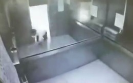 Người đàn ông tử vong do kẹp nửa người trong thang máy