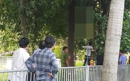 Người đàn ông treo cổ trên cây tại Tân Sơn Nhất
