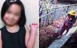 Nguyên nhân cái chết của bé gái người Việt bị sát hại ở Nhật được cảnh sát tiết lộ