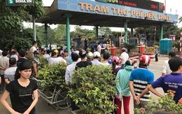Nhân viên soát vé đếm tiền lẻ mỏi tay, Trạm thu phí Bến Thuỷ mở cổng không thu vé