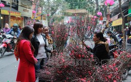 Đã có lịch nghỉ Tết Nguyên đán chính thức năm 2018