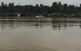 Phát hiện thi thể 2 nam thanh niên trôi trên sông Đồng Nai