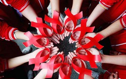 Ban Quản lý Dự án VUSTA – Dự án Quỹ Toàn cầu phòng, chống HIV/AIDS: Hướng tới sự phát triển bền vững  của các tổ chức xã hội