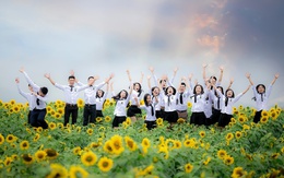 Học sinh xứ Nghệ tạo dáng trên cánh đồng hoa hướng dương