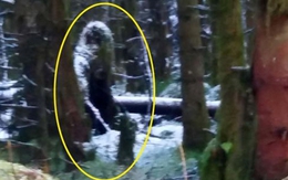 Người phụ nữ Ireland khoe chụp được ảnh 'người tuyết' trong rừng