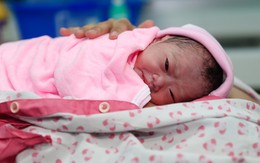 TP.HCM chào đón công dân nhí đầu tiên của năm Đinh Dậu