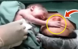 Mẹ chết sau khi sinh, bé ôm và khóc bên tai mẹ, điều xảy ra sau đó khiến ai cũng nghẹn lòng