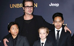 Brad Pitt lần đầu được ngủ bên Maddox và Pax Thiên sau cáo buộc bạo hành