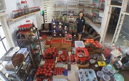 Cô gái Indonesia sống chung nhà với 1.500 con nhện