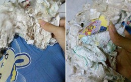 Thiếu phụ Thái Lan phát hiện gối dùng 2 năm chứa đầy băng vệ sinh, tã lót