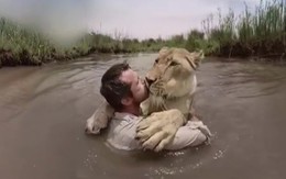 Sư tử trên bờ "vồ" người đàn ông giữa sông và diễn biến không ngờ