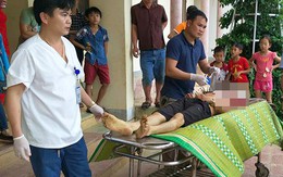 Trâu húc chết nhân viên thú y khi tiêm phòng