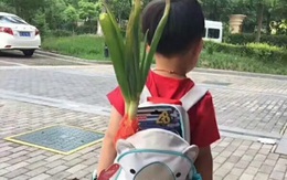 Cậu nhóc mang hành đi học để cầu may
