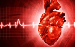 Giáo sư tim mạch nổi tiếng: Khi có dấu hiệu này, hãy coi chừng bạn đã mắc bệnh mỡ máu cao!