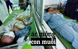 Ác mộng "muỗi" của người Hà Nội