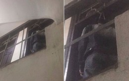 Hà Nội: Mâu thuẫn tình cảm với bạn gái, nam thanh niên sinh năm 1994 treo cổ tự tử trong phòng trọ