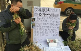 Cha mẹ ngồi ăn cỏ trên đường để gây quỹ chữa ung thư cho con