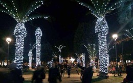 Thị trấn Italy trang trí cây Giáng sinh giống hình 'của quý'