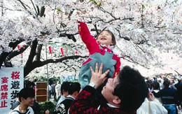 Chăm con “tự nhiên” – sự khác biệt của mẹ Nhật