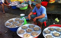 Kỳ lạ chợ trên đĩa một giá giữa Sài Gòn